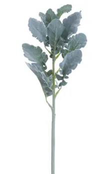 Dusty Miller Spray - 18" Green/Gray